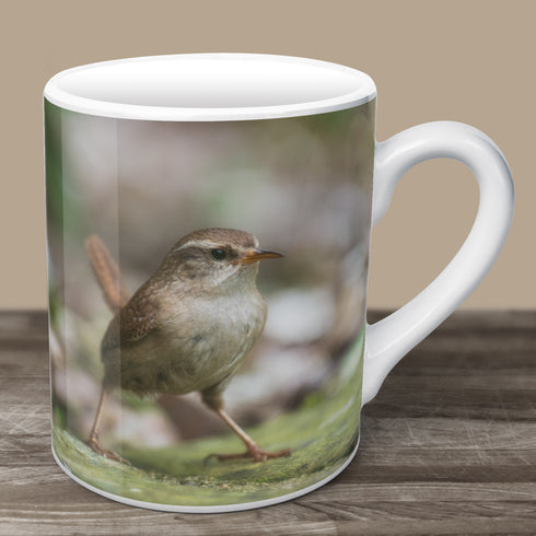 Action Jenny Wren Mug